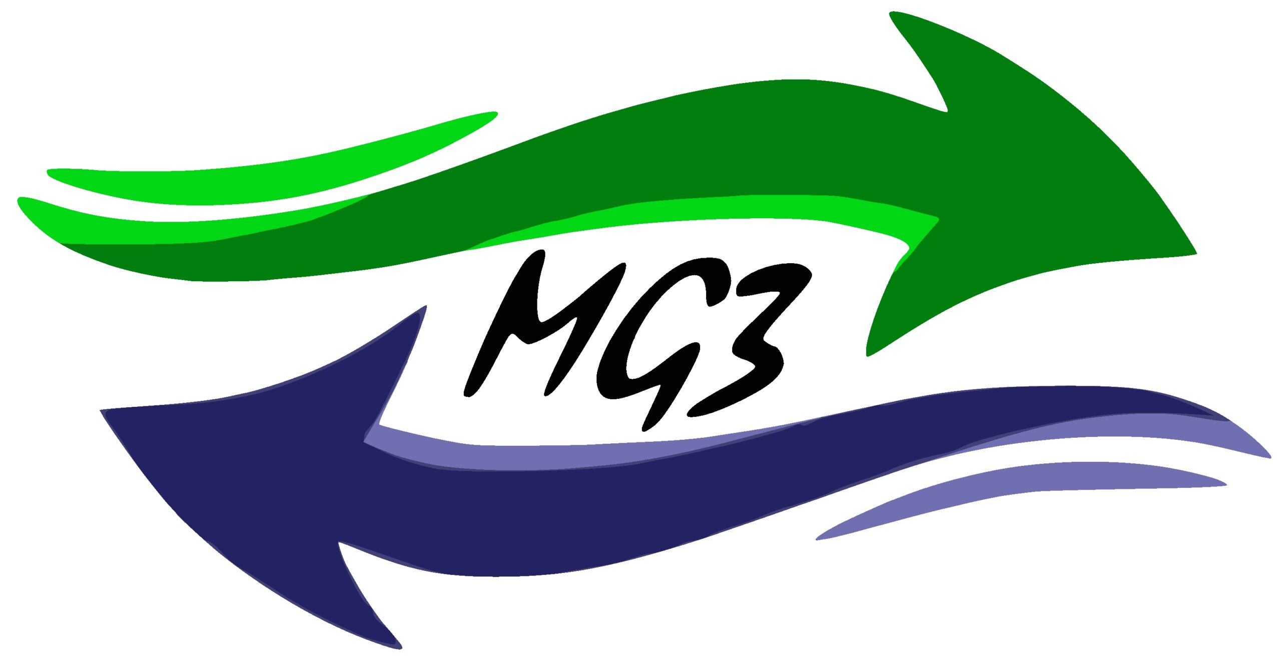 Logo MG3 Srl