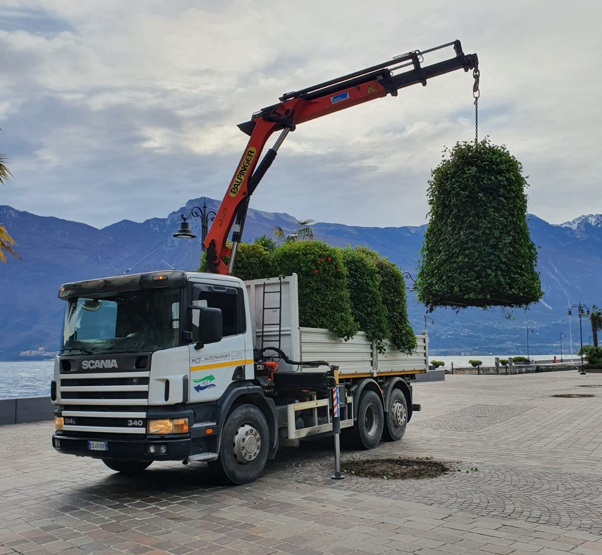 MG3 Srl - scaniagrulimone2.jpg